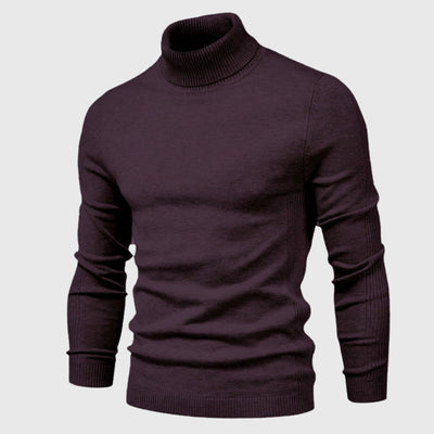 Suéter de Cuello Alto Clásico Tommy
